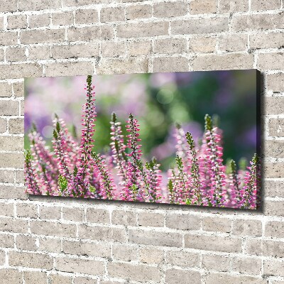 Foto op canvas Heidebloemen
