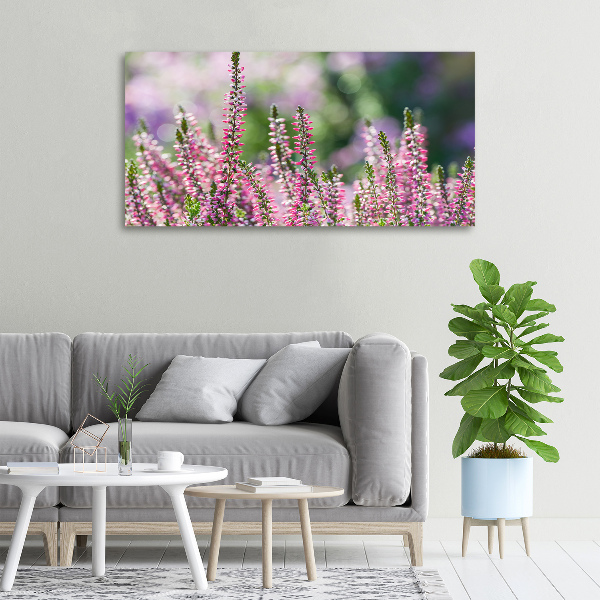 Foto op canvas Heidebloemen