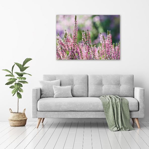 Foto op canvas Heidebloemen