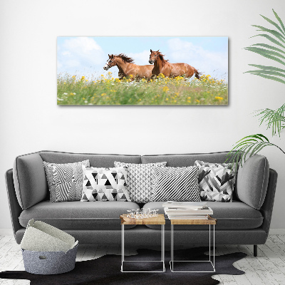 Schilderij op canvas Twee paarden in galop