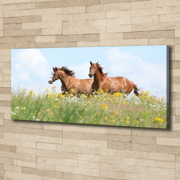 Schilderij op canvas Twee paarden in galop