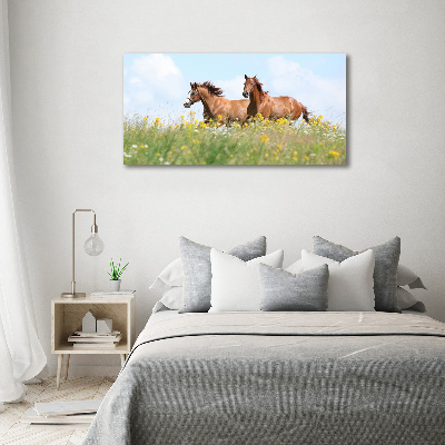 Schilderij op canvas Twee paarden in galop