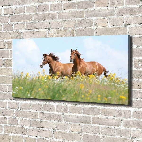 Schilderij op canvas Twee paarden in galop