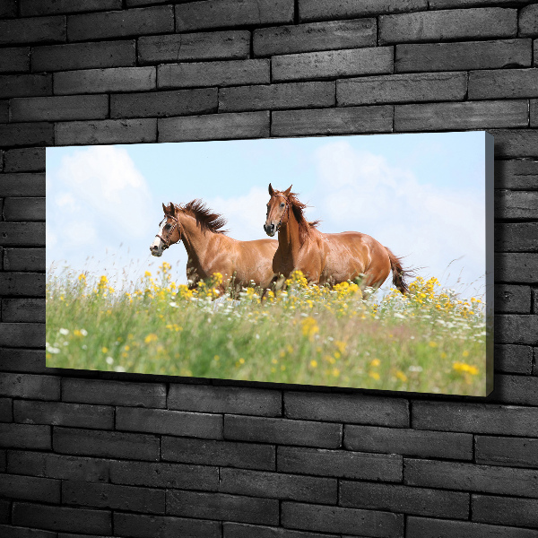 Schilderij op canvas Twee paarden in galop