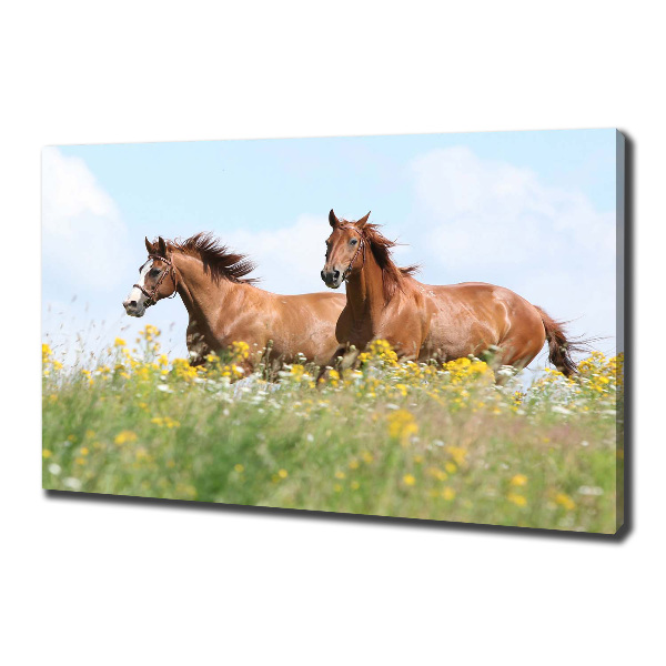 Schilderij op canvas Twee paarden in galop