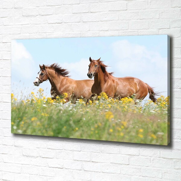 Schilderij op canvas Twee paarden in galop