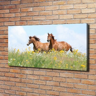 Schilderij op canvas Twee paarden in galop