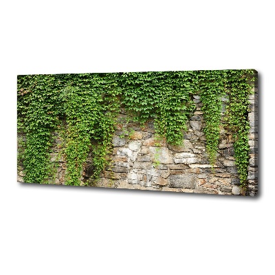 Canvas foto Groene klimop