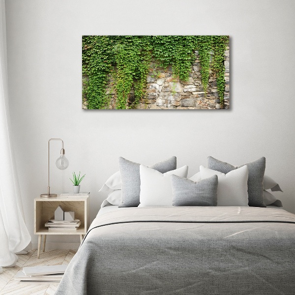 Canvas foto Groene klimop