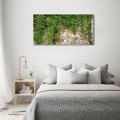 Canvas foto Groene klimop