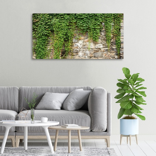 Canvas foto Groene klimop