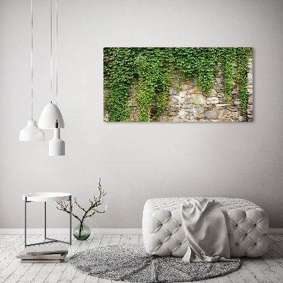 Canvas foto Groene klimop