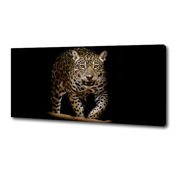 Foto canvas Jaguar