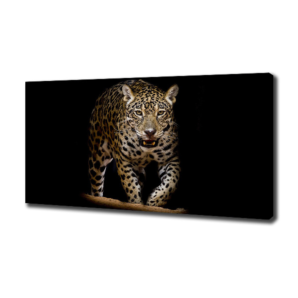 Foto canvas Jaguar