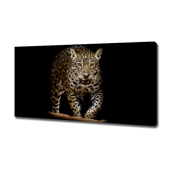 Foto canvas Jaguar