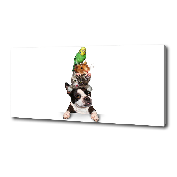 Foto op canvas Een groep dieren