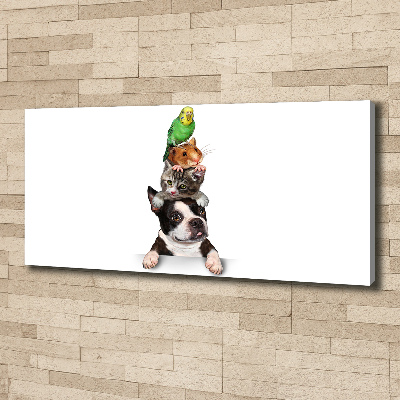 Foto op canvas Een groep dieren