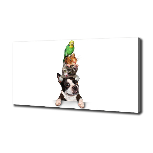 Foto op canvas Een groep dieren