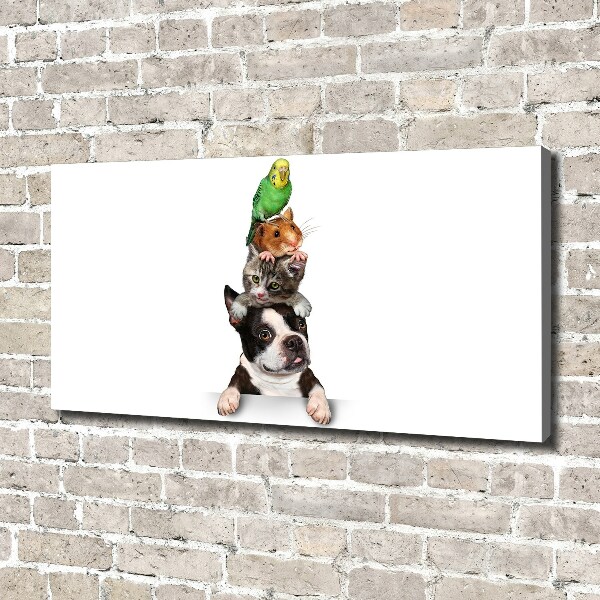 Foto op canvas Een groep dieren