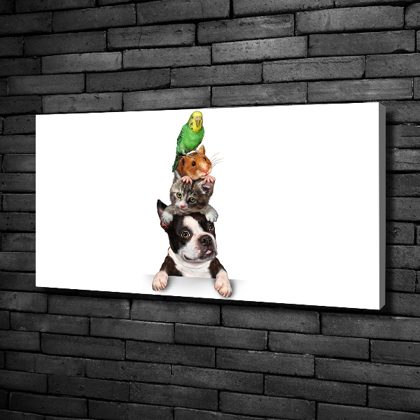 Foto op canvas Een groep dieren