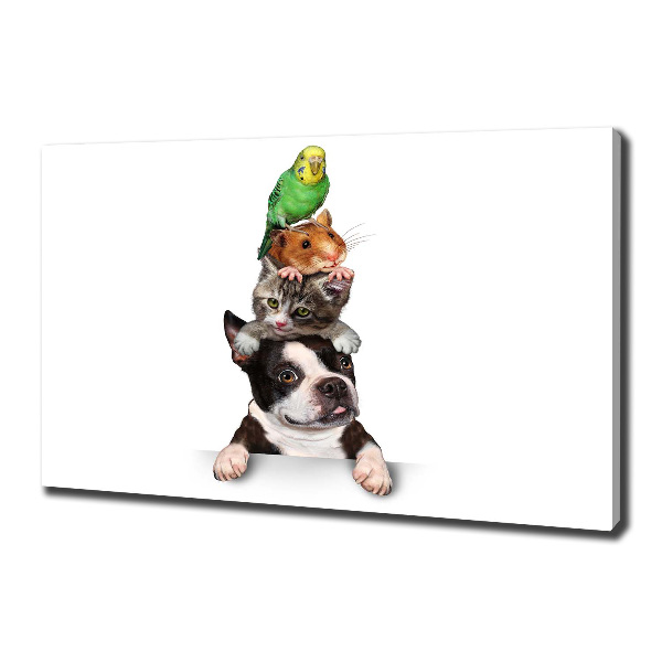 Foto op canvas Een groep dieren