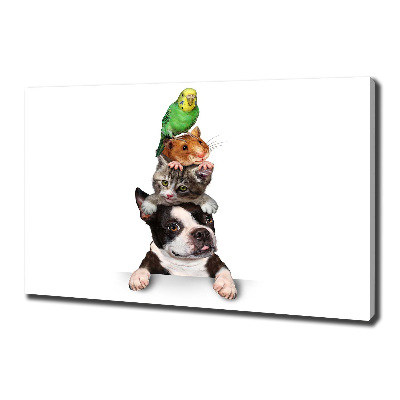 Foto op canvas Een groep dieren