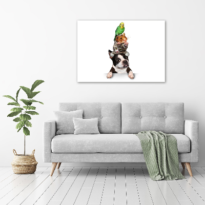 Foto op canvas Een groep dieren