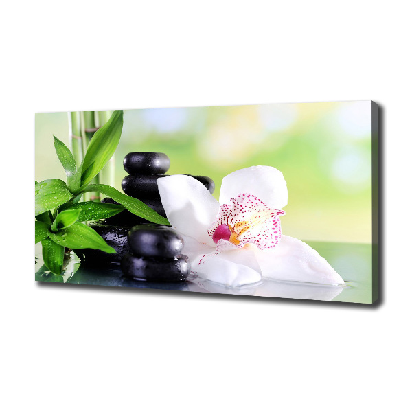 Foto canvas Orchidee