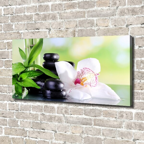 Foto canvas Orchidee