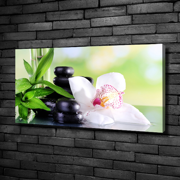 Foto canvas Orchidee