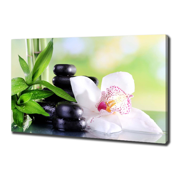 Foto canvas Orchidee