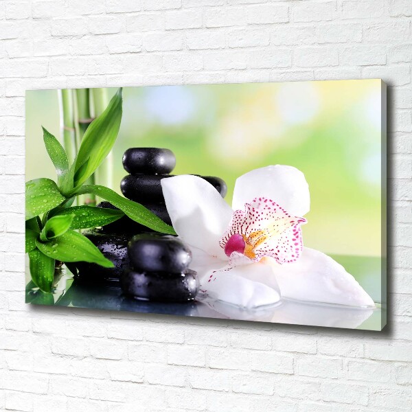 Foto canvas Orchidee