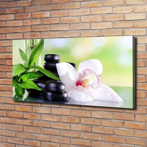 Foto canvas Orchidee