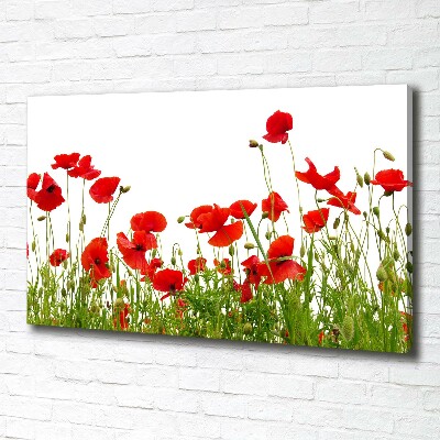 Foto op canvas Klaprozen