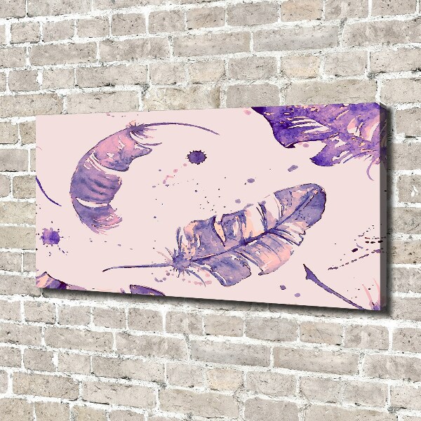 Schilderij op canvas veren