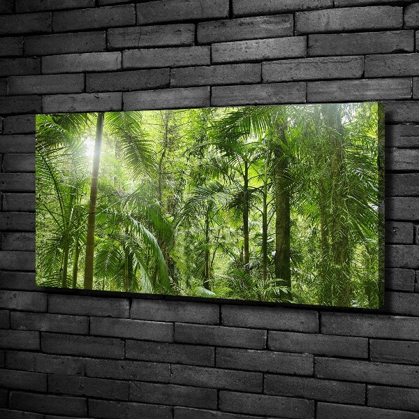 Canvas foto Tropisch bos