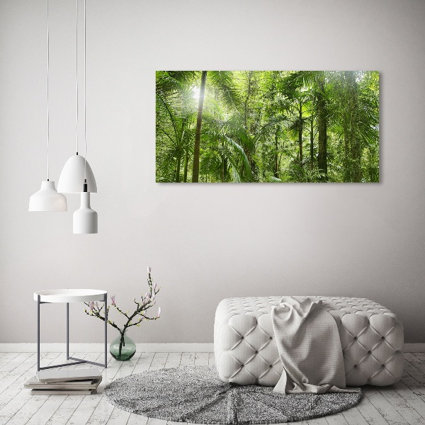 Canvas foto Tropisch bos