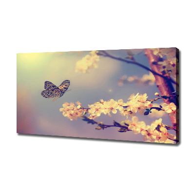 Schilderij op canvas Kersenbloesem en vlinder