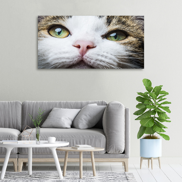 Schilderij op canvas Groene kattenogen