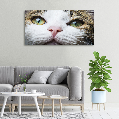 Schilderij op canvas Groene kattenogen
