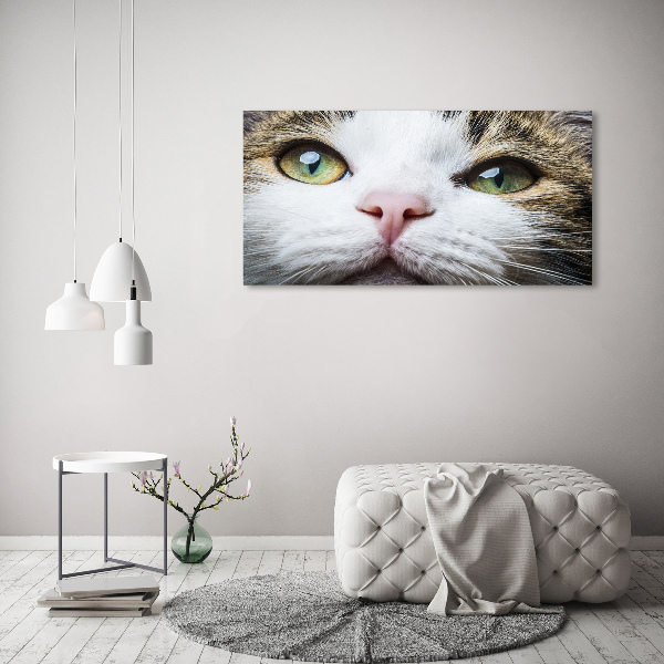 Schilderij op canvas Groene kattenogen