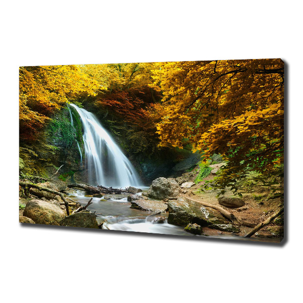 Canvas schilderij Waterval in het bos