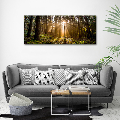 Foto op canvas Zonlicht
