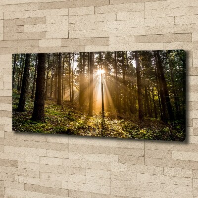 Foto op canvas Zonlicht