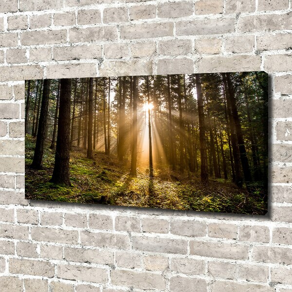 Foto op canvas Zonlicht