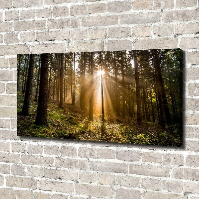 Foto op canvas Zonlicht