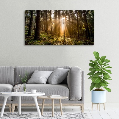 Foto op canvas Zonlicht