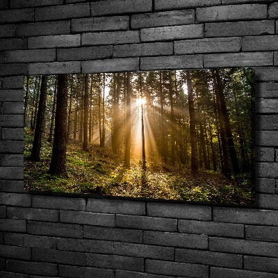 Foto op canvas Zonlicht