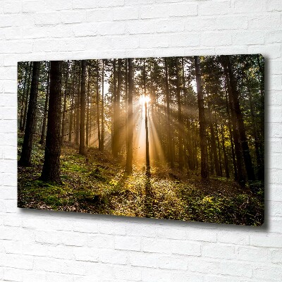 Foto op canvas Zonlicht