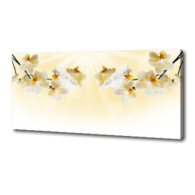 Canvas foto Orchidee